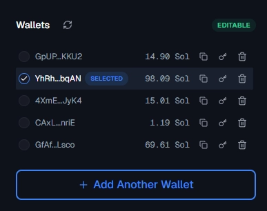 Wallet Management Panel